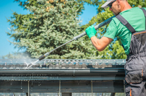 Benefits of Professional Roof Cleaning